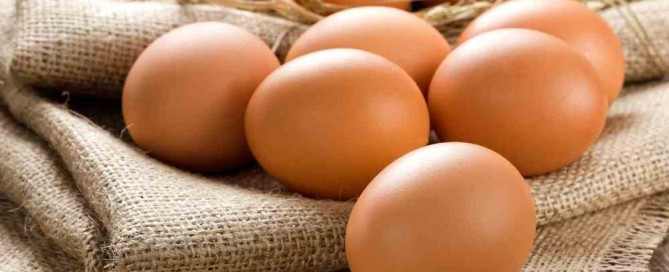 Huevos
